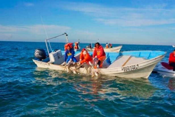 pescadores BCS.jpeg