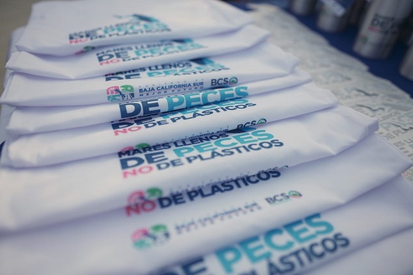 PRINCIPAL_ CMD DESPLASTIFICATE (2)