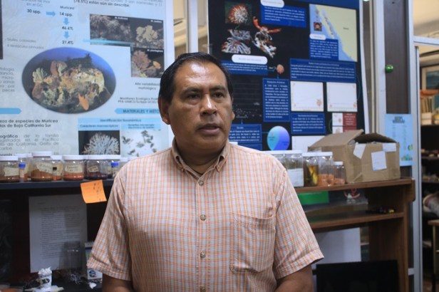 Reportaje-sobre-especies-toxicas-y-venenosas-terrestres-y-marinas- (1).JPG