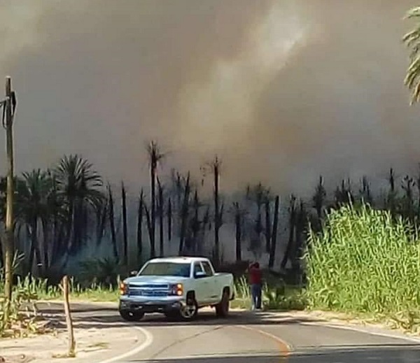 SPC_ INCENDIO (2).jpg