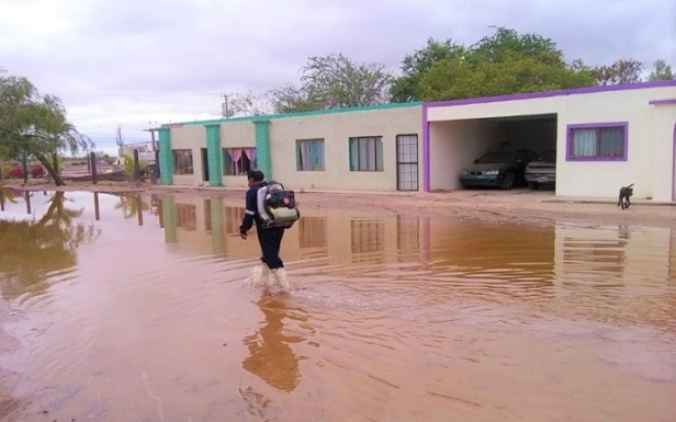 SSA_ PREVENCIÓN (3).jpg