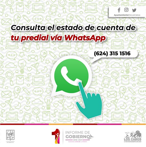 01 Con programa WhatsAppea tu Predial se beneficia a más de 139 mil usuarios de Los Cabos.jpeg