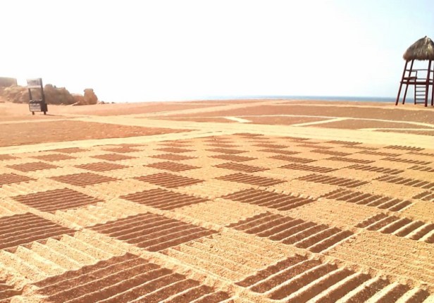 04 ZOFEMAT realiza mejoras en las playas certificadas de Los Cabos,