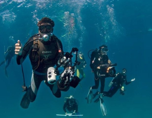 convocatoria cimacoo (1).jpg