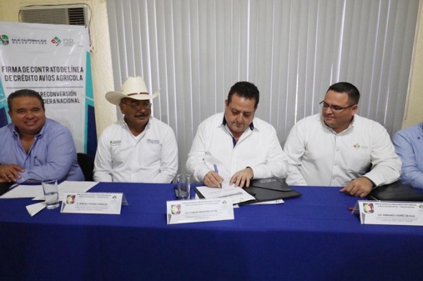 PRINCIPAL_CMD PRODUCTORES (3).jpeg