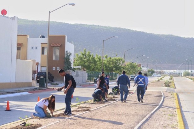 REFORESTACIÓN PENÍNSULA SUR (5).jpeg