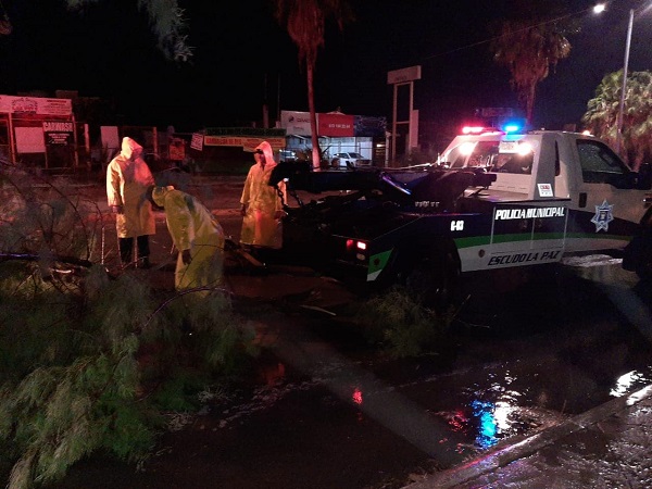 SEGURIDAD PÚBLICA (1)