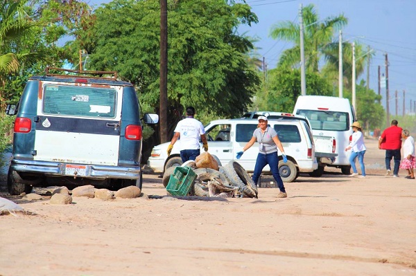 SSA_ DESCACHARRIZACIÓN (1)