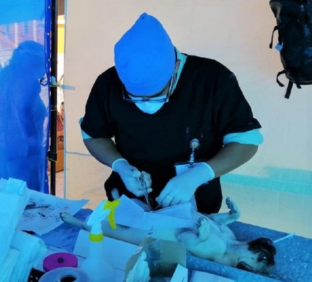 SSA_JORNADA ESTERILIZACIÓN.jpg