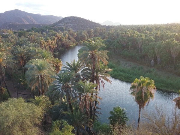 Foto humedal, Miguel Angel Imaz