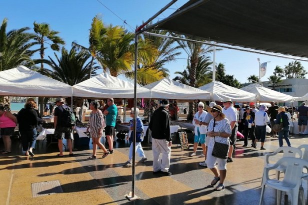 LLEGADA CRUCERO STAR PRINCESS (4).jpeg