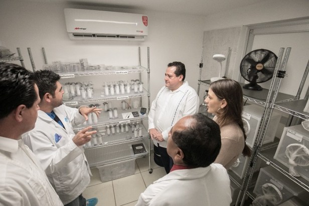 PRINCIPAL CMD_INSECTARIO (1)