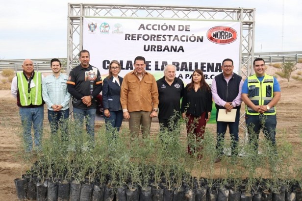 REFORESTACIÓN PARQUE NORRA (2)