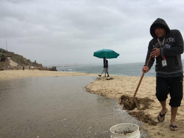 02 ZOFEMAT Los Cabos realizó la Limpieza de las 19 playas certificadas (2)