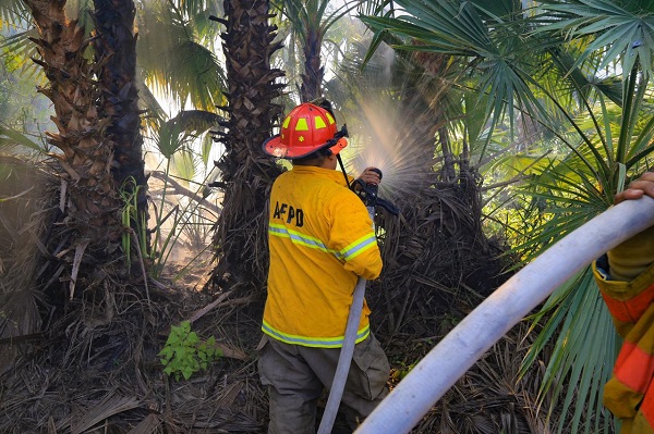 Nota 05 Respuesta oportuna por los cuerpos de emergencia Erick Apolonio Santilla (4)