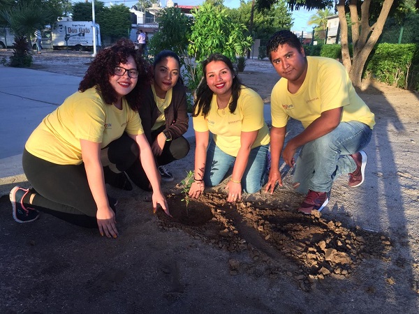 REFORESTACIÓN LOS MANGOS (3)