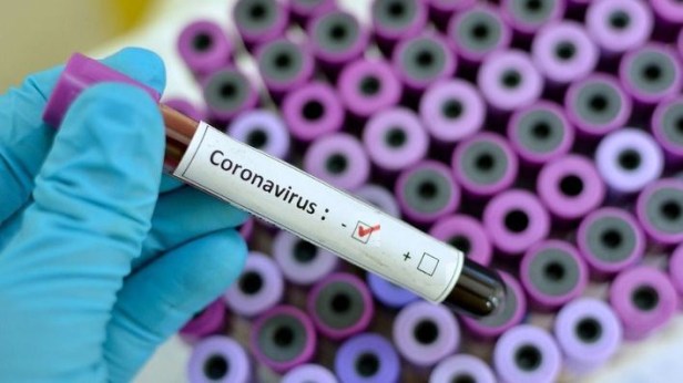 415496_coronavirus_thumb_708