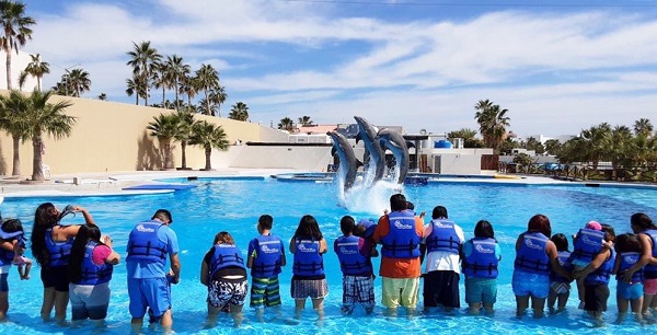Gobierno Municipal gestiona terapias con delfines para la niñez con discapacidad de Los Cabos1