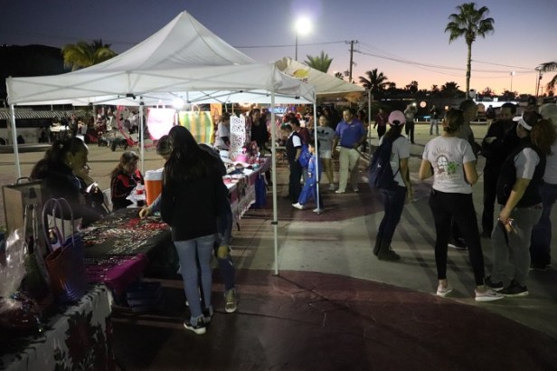 Nota 05 Inspección Fiscal 1