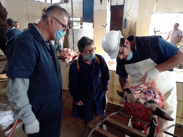 SEPADA_REVISIÓN (2)