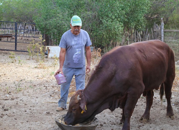 02 Más de 2 MDP invierte el Gobierno Municipal, en apoyo a los ganaderos de Los Cabos 2