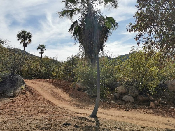 03 Caminos rurales en óptimas condiciones para la circulación vial, ante cualquier emergencia- Servicios Públicos 2