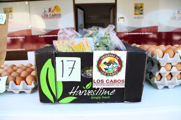03 Gobierno de Los Cabos continúa trabajando para mejorar la economía local, ante las bajas que sufrió el sector turístico por el COVID-19 1