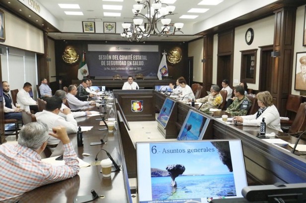 PRINCIPAL CMD COMITÉ SEGURIDAD EN SALUD