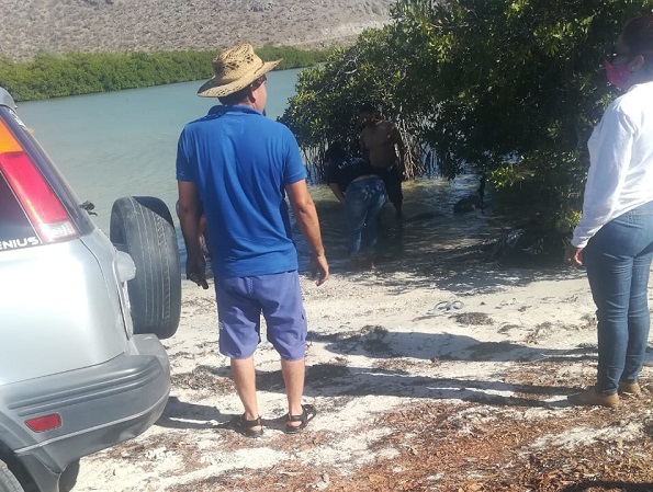 RETIRO DE VISITANTES EN PLAYAS (3)