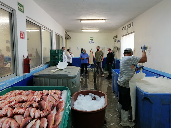 REUNIÓN SECTOR PESQUERO (3)