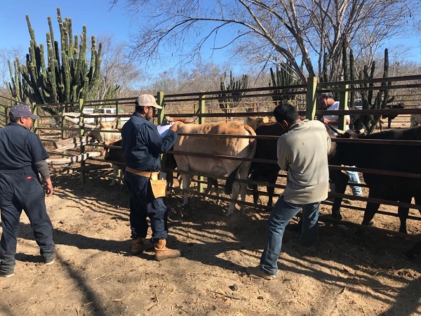 SEPADA_TUBERCULOSIS (1)