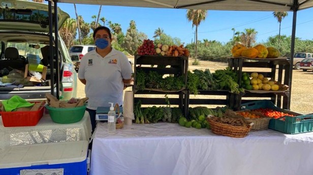 02 ¡Vuelve el Mercado Regional de Los Cabos! 2