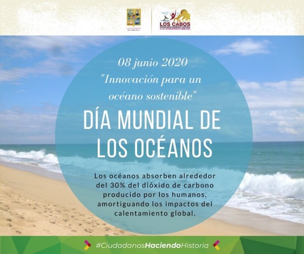 04 ¡De forma digital, celebra el Día Mundial del Medio Ambiente todo el mes!