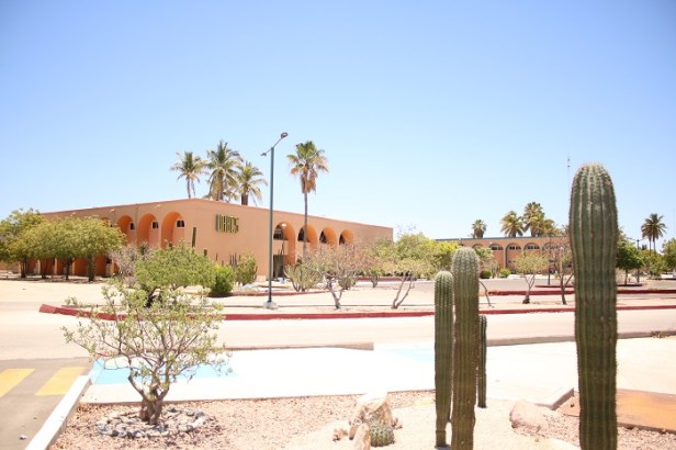 Diagnóstico examen de admisión desde casa (2)