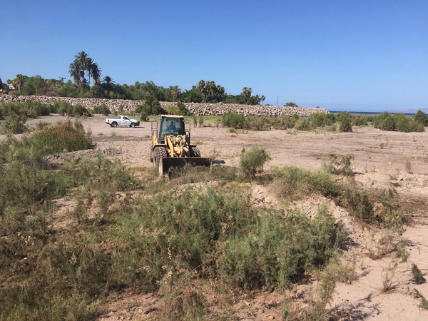FOTO 2 COMIENZAN EN LORETO CON LA LIMPIEZA Y DESAZOLVE DE ARROYOS PARA LA TEMPORADA DE HURACANES Y CICLONES 2020