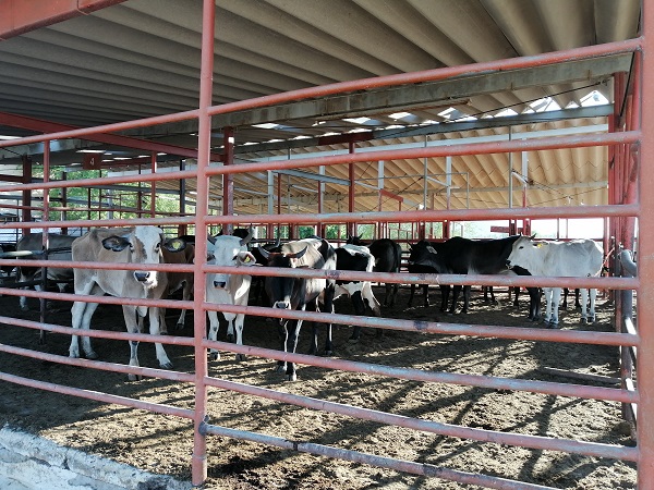 OPERACIONES RASTRO MPAL (4)