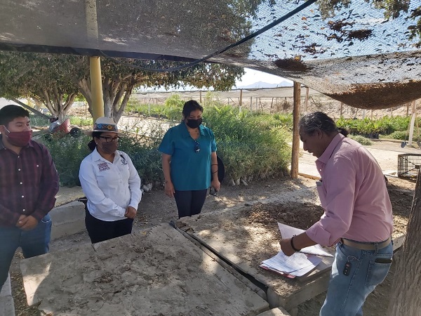 REVISIÓN ECO PARQUE (2)