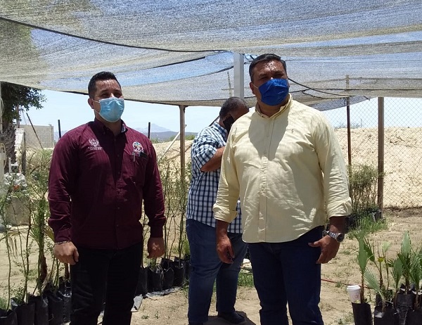 SUPERVISIÓN REHABILITACIÓN VIVERO MUNICIPAL (1)