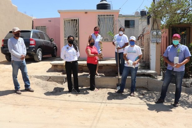 04 Sociedad y Gobierno de Los Cabos trabajan juntos en la recuperación de áreas verdes 1
