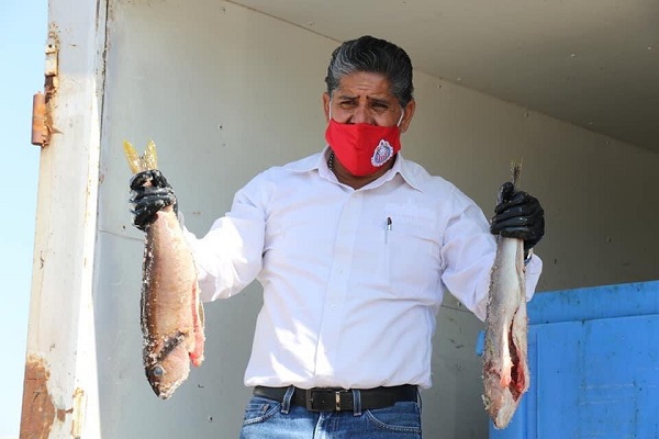 116154383_310964743595837_707686439696386647_n