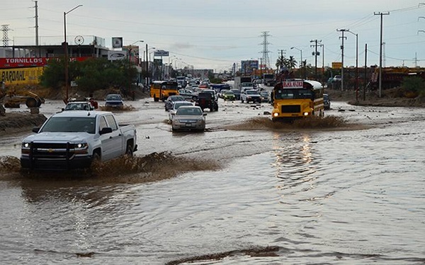 Congestión vehícular - Dalila 2