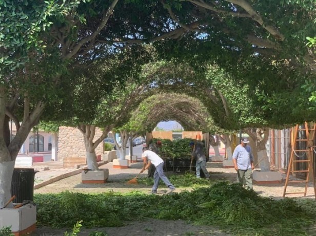 Foto 5 CUMPLE SERVICIOS PÚBLICOS CON SU LABOR DE MANTENER LIMPIO EL MUNICIPIO DE LORETO