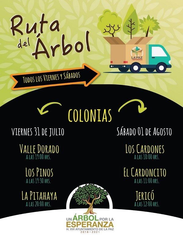 RUTA DEL ÁRBOL