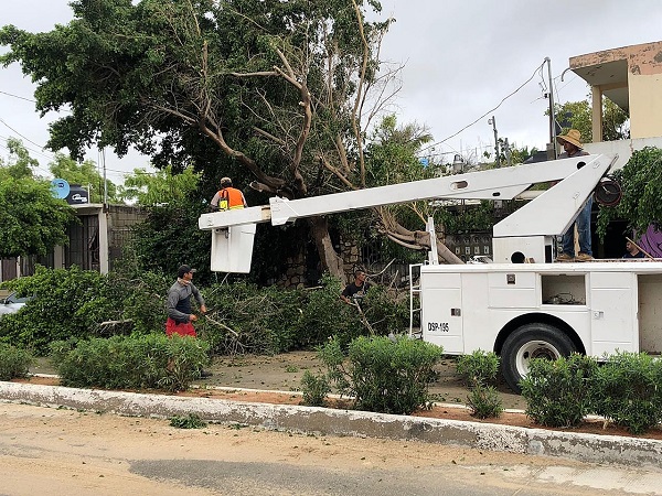 01 Prevé alcaldesa de Los Cabos Armida Castro que en una semana se restablezcan los servicios públicos a un 75% 4