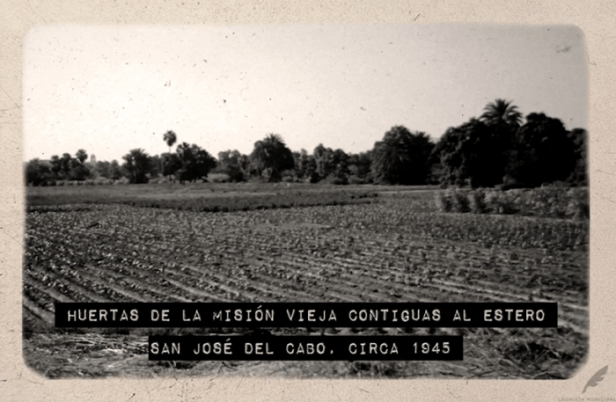 03 Serie documental “Aquel Ayer”, legado sociocultural para las generaciones de Los Cabos 2