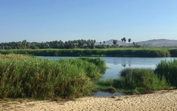 04 En beneficio de la ciudadanía, suman esfuerzos el XIII Ayuntamiento y la XI regidora de Los Cabos 1