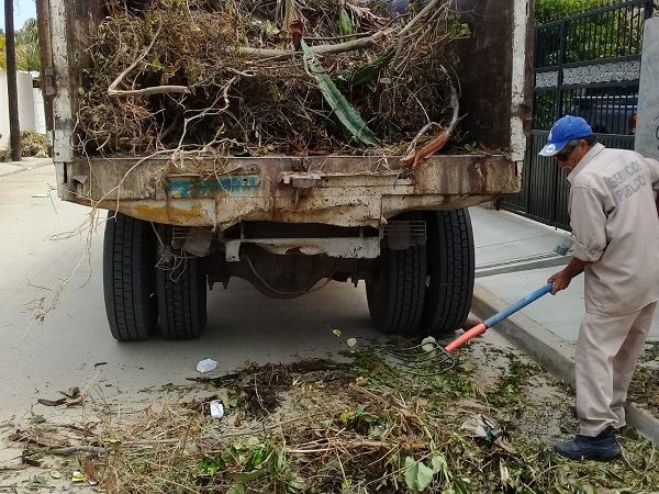04 Más de 35 toneladas de Ramas y Cacharros se retiran diariamente de las calles de Los Cabos2
