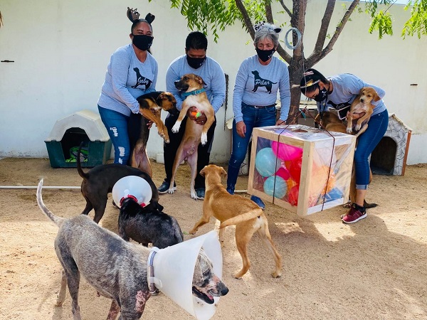 FIESTA DÍA DEL PERRO (4)