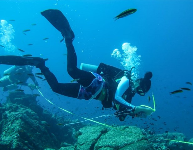 Foro ciencias marinas