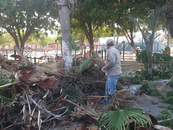 LIMPIEZA PARQUE INFONAVIT (1)
